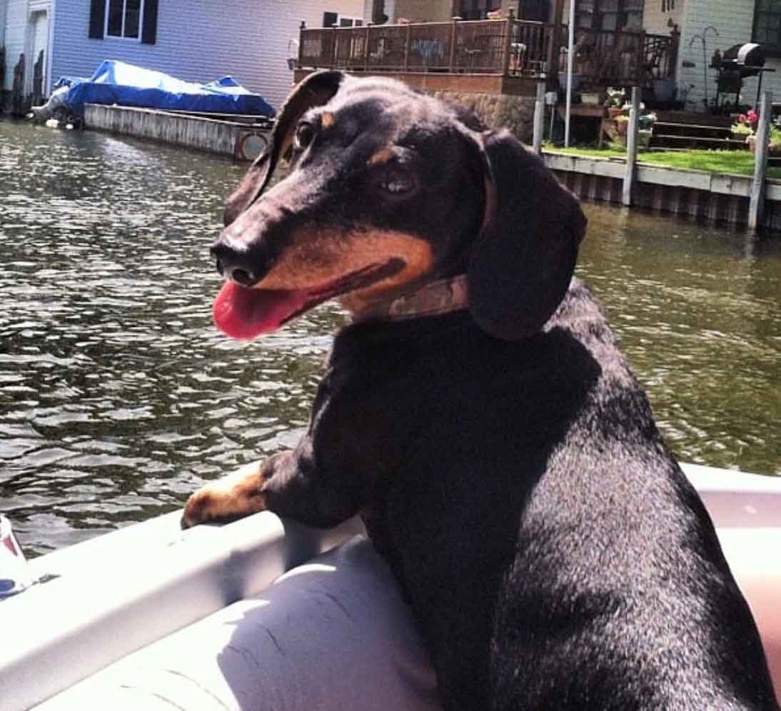 Max Enjoying a Boat Ride