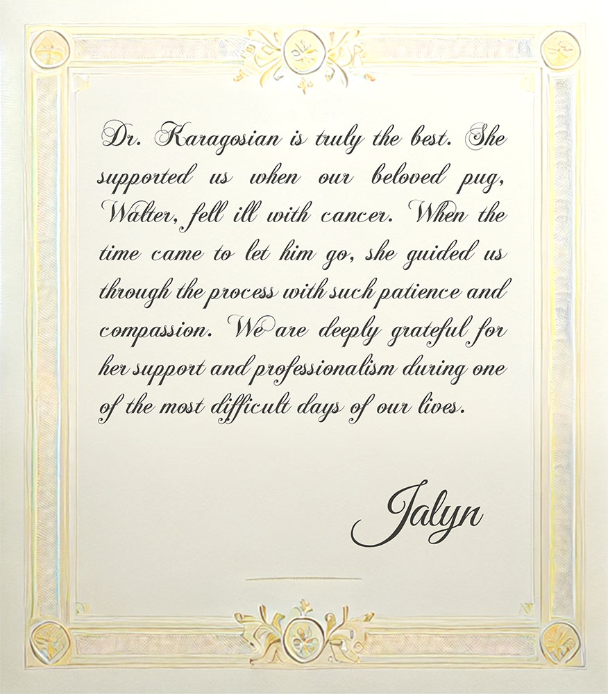 Testimonial from Jalyn