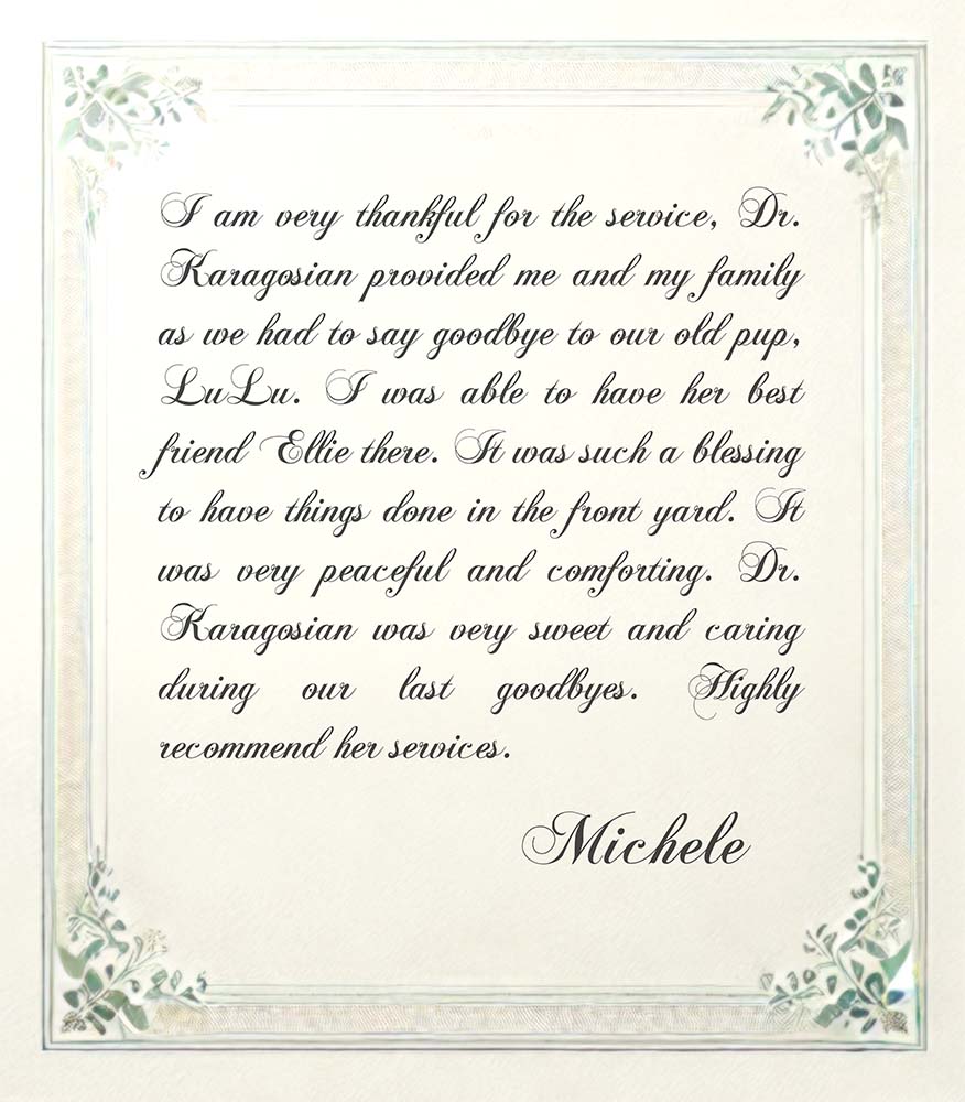 Testimonial from Michelle