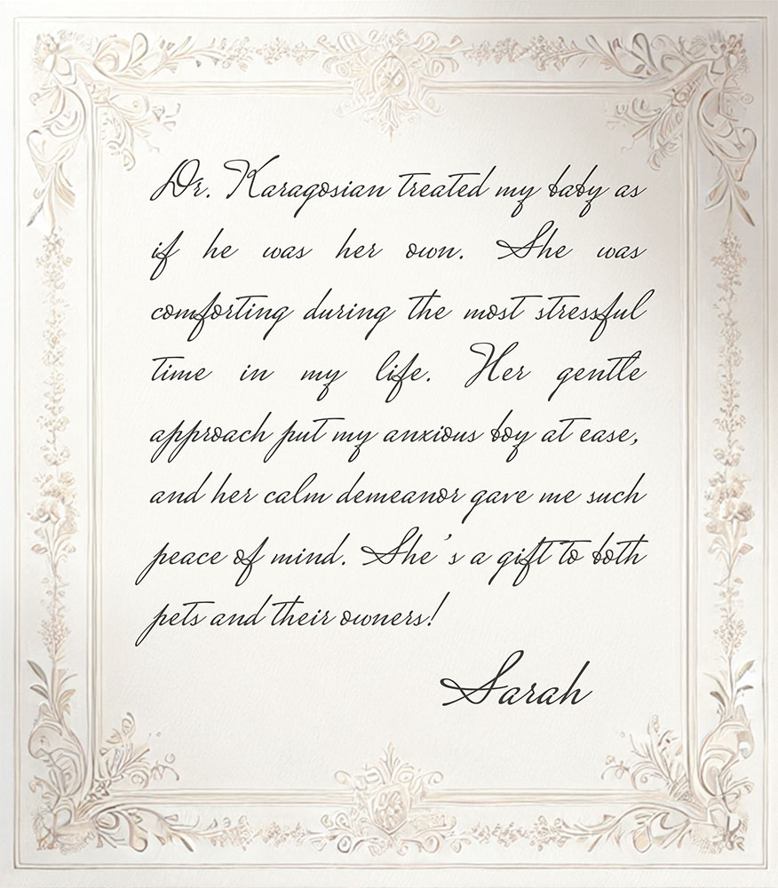Testimonial from Michelle